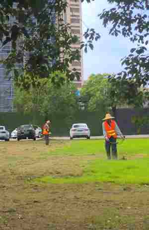 廠區(qū)綠化養(yǎng)護(hù)